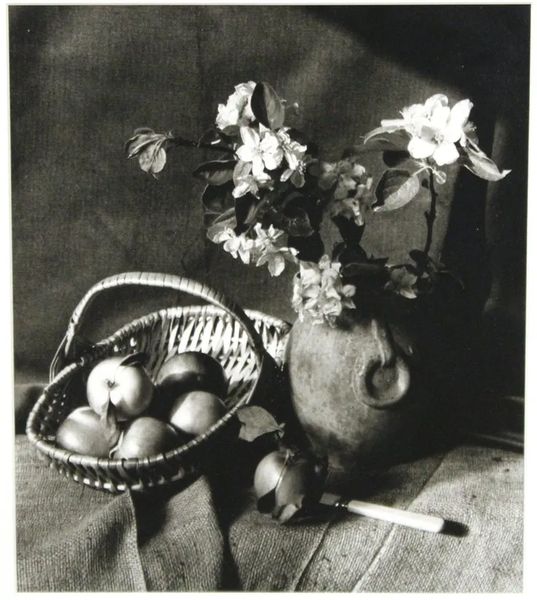 Bo Kass Photography Still Life with Fruit Bowl and Plants