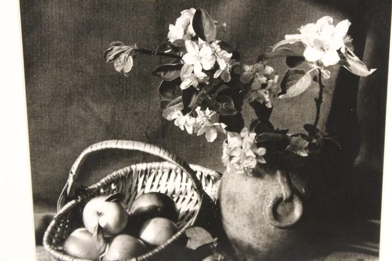 Bo Kass Photography Still Life with Fruit Bowl and Plants