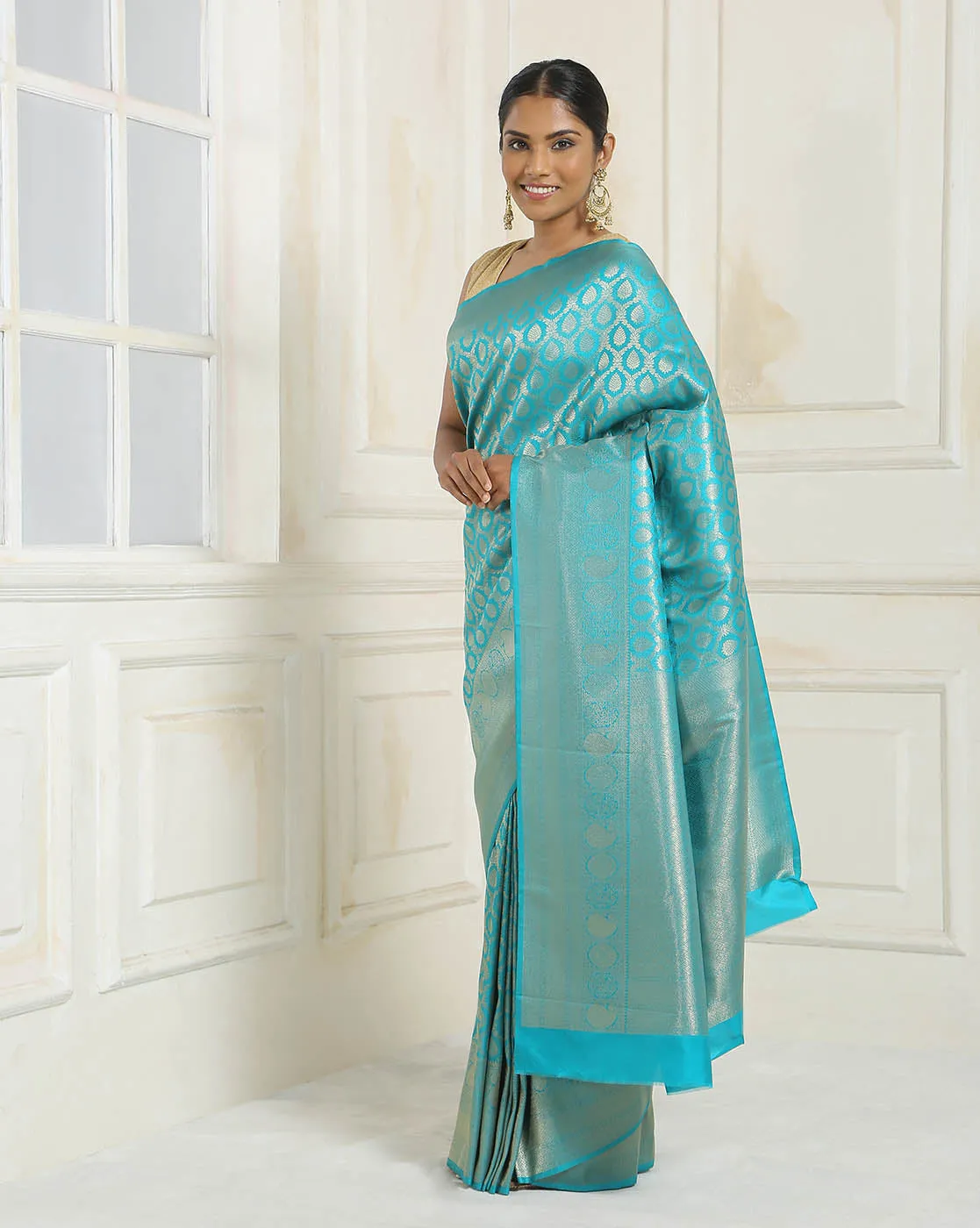 Brocade Zari Jaal Handloom Woven Saree