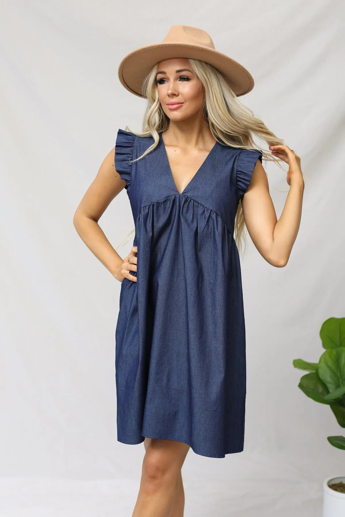 My Perfect Day Chambray Dress