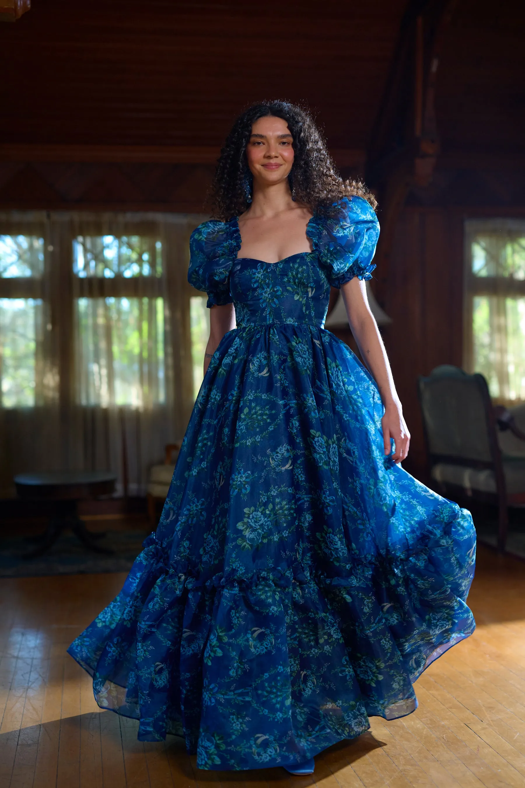 The Cassiopeia Ritz Gown