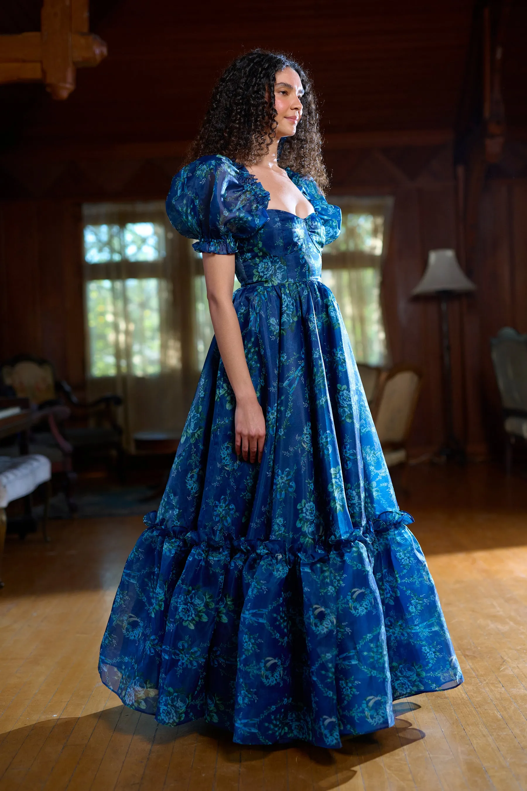 The Cassiopeia Ritz Gown