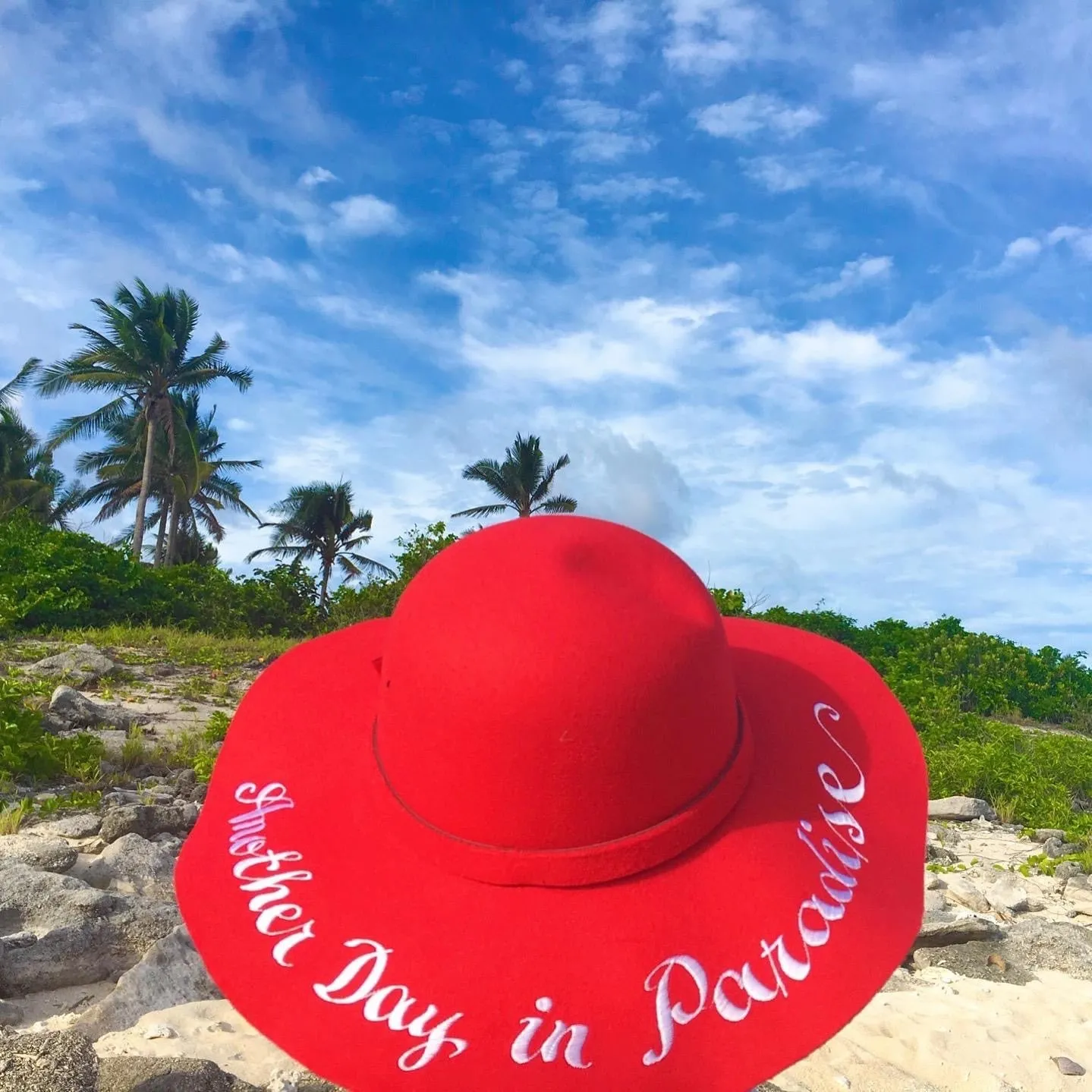 Wool Felt Winter Floppy Hat